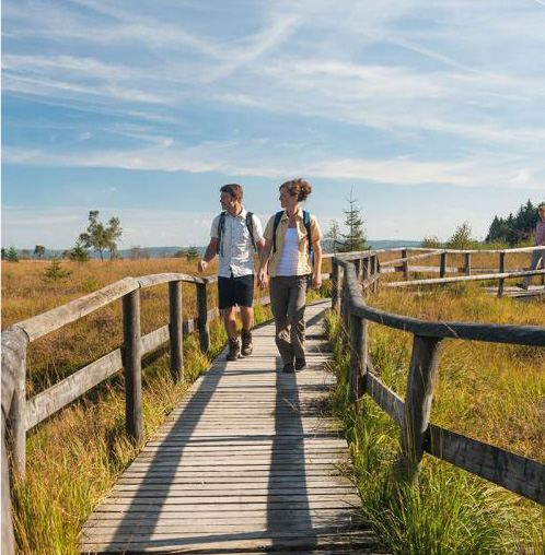 Balade dans les fagnes